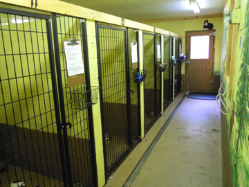 Large Kennels